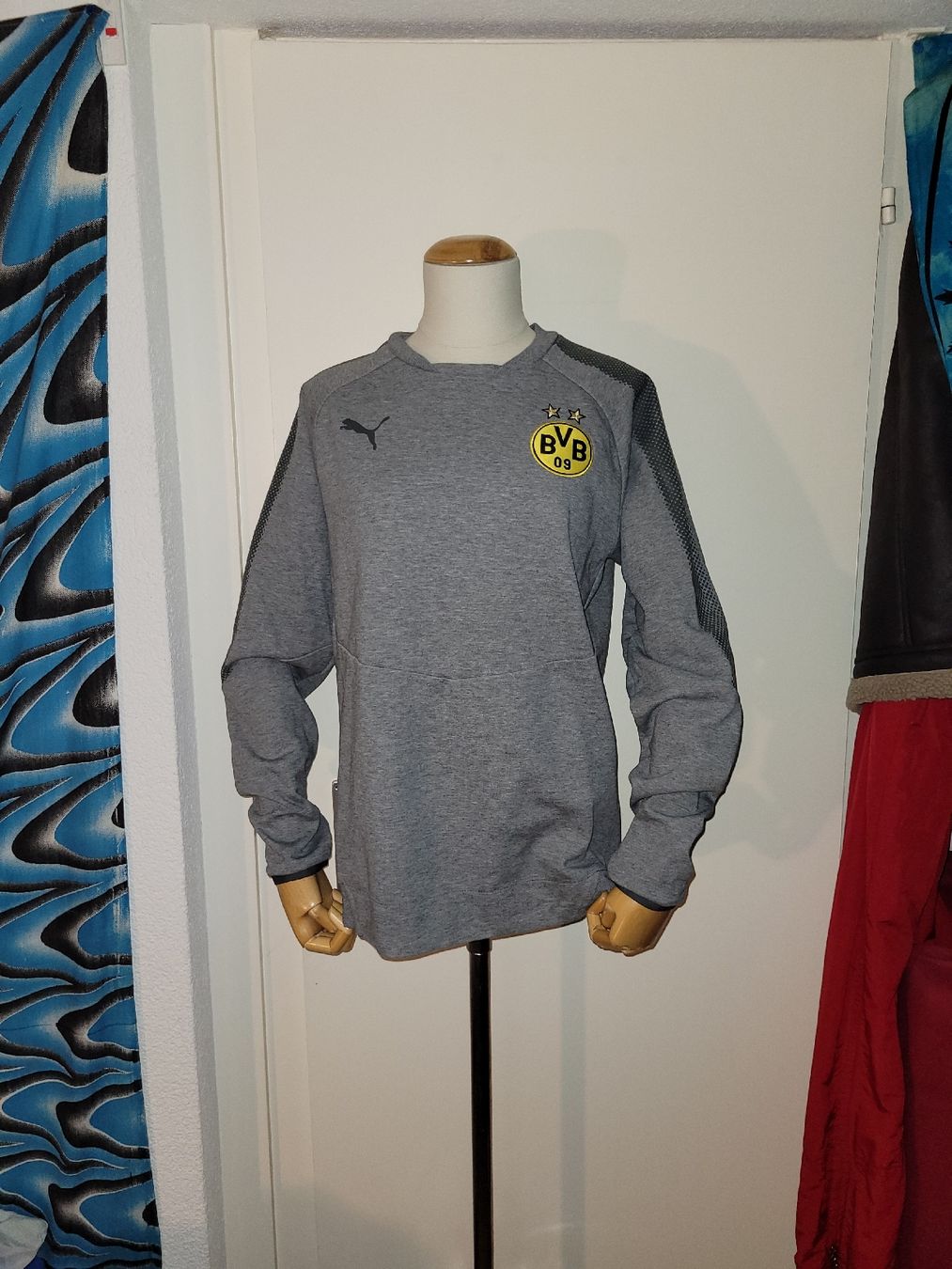 Puma Maglioni & Felpe: BVB Borussia Dortmund Pullover, Grau, Grösse M, Top Zustand! – Usato da Solothurn venduto da tingel_t 1