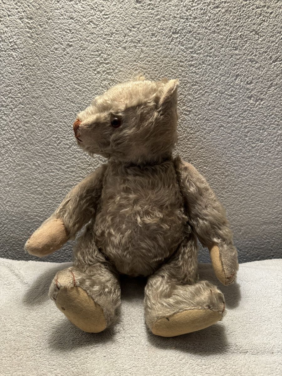 Steiff Spielzeuge: Steiff Teddy – Gebraucht aus Binningen von kal_5nsj 3