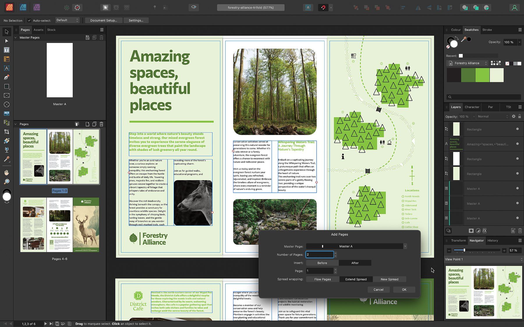 Software: Affinity Publisher-1 PC-Lifetime-Windows&Mac(Global) – Usato da Langenthal venduto da Peaceful 1