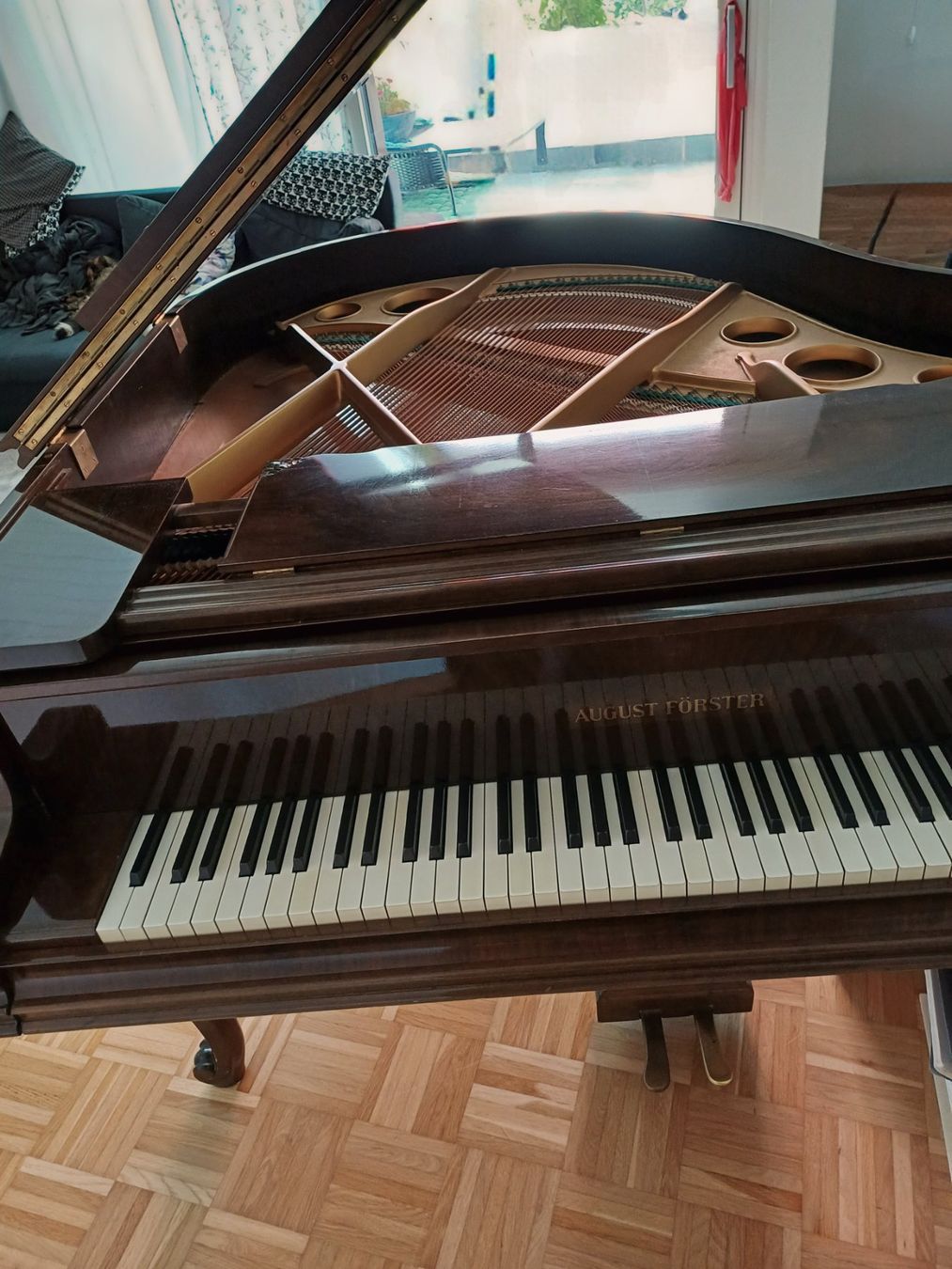 Instruments de musique: Antiker Flügel August Förster – D'occasion à Forch par Alexandraa 1
