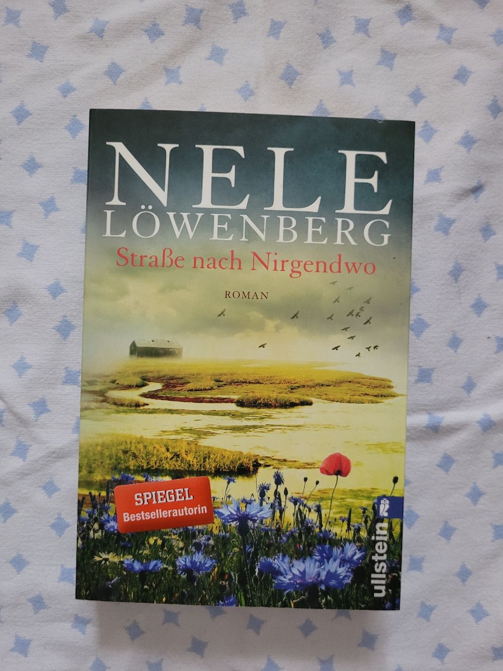 Libri: Nele Löwenberg: Strasse nach Nirgendwo – Usato da Perlen venduto da Safari_23