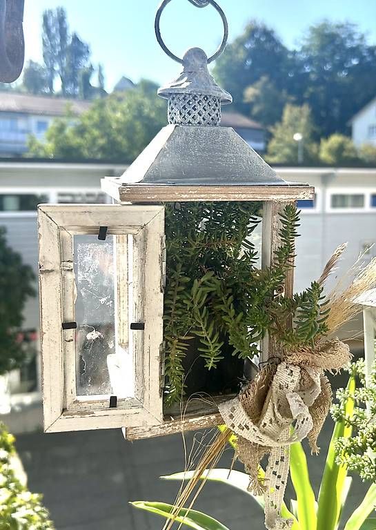 Lanterne: Bepflanzte Holzlaterne – Nuovo e nell'imballaggio originale da Frauenfeld venduto da Irene.Schuppli
