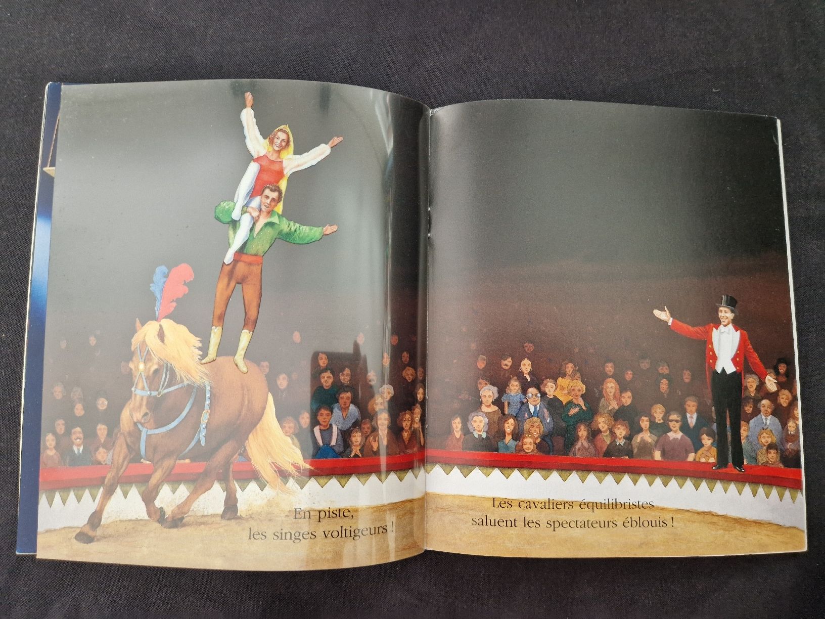 Bücher: Cache-cache avec Le cirque – Neu (gemäss Beschreibung) aus Villars-sur-Glâne von Agnie80 5