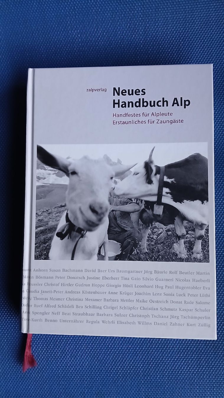 Libri: Neues Handbuch Alp – Usato da Schönenberg ZH venduto da nikanika