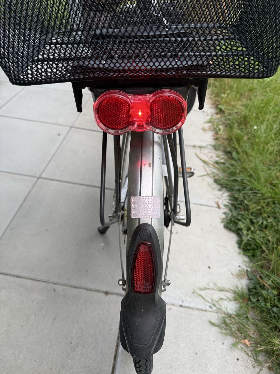 Flyer Biciclette: E-Bike Flyer  – Usato da Langenthal venduto da Nina_Leonie 8