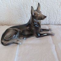 schöner Schäferhund mit Marke