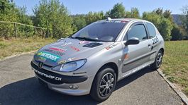 Peugeto 206 1.4 für Liebhaber/Bastler