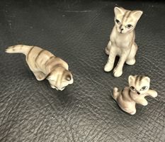 3 Katzen 