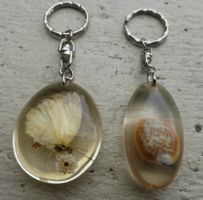 2 SCHLÜSSEL -ANHÄNGER;-9 CM SCHMETTERLING UND KAURI-MUSCHEL;