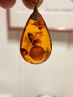 Bernstein Anhänger mit Insekten-Inklusion, vergoldet 