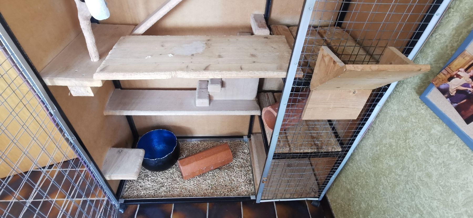 Gabbie, trasporto & Sicurezza: Grande cage pour chinchillas – Usato da Levron venduto da noceur1 3