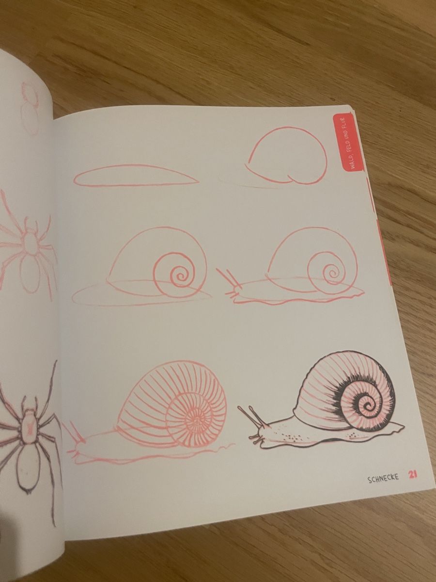 Libri: Zeichnungsbuch – Nuovo (secondo la descrizione) da Zürich venduto da nie_6ls5 1
