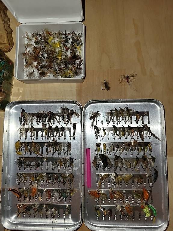 Esche: Fliegenfischen – Usato da Bolligen venduto da Jsamsung 1