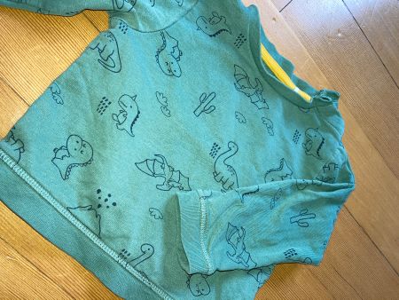 Pulli mit Dinos in Grösse 86 von Manor
