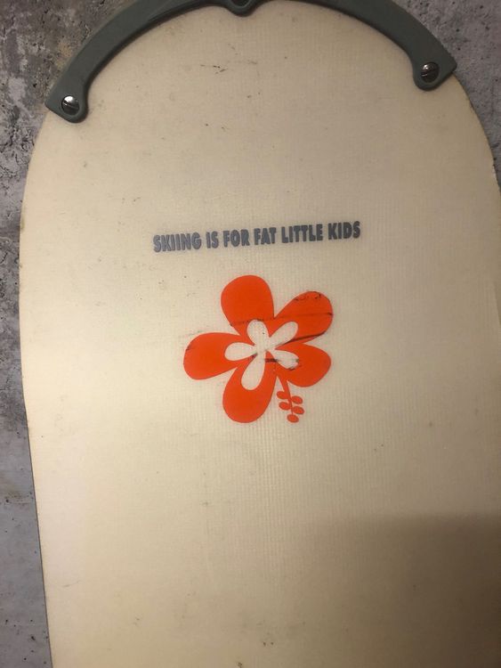 Snowboard 167cm Elan El Grande Wide mit Burton Mission Kaufen auf Ricardo