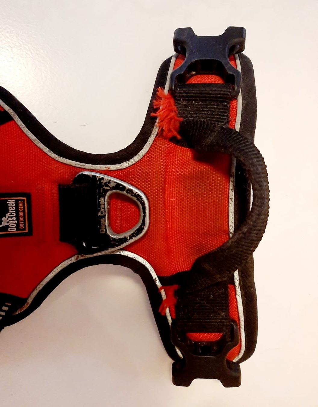 Guinzagli & Collari: Dogs Creek Geschirr Pathfinder rot S – Usato da Sissach venduto da ruminative 4