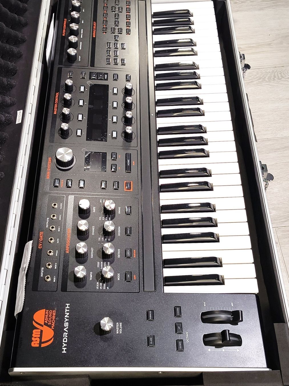 Strumenti musicali: ASM Hydrasynth Keyboard – Wave Morphing + Hard Case – Usato da Villars-sur-Glâne venduto da SwissTrendyStore 5