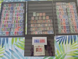 Tolles Los PJ ab 1913 Postfrisch