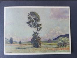 1929, Pro Juventute Karte Nr.144 nach Lyss.Mit Graf Zeppelin