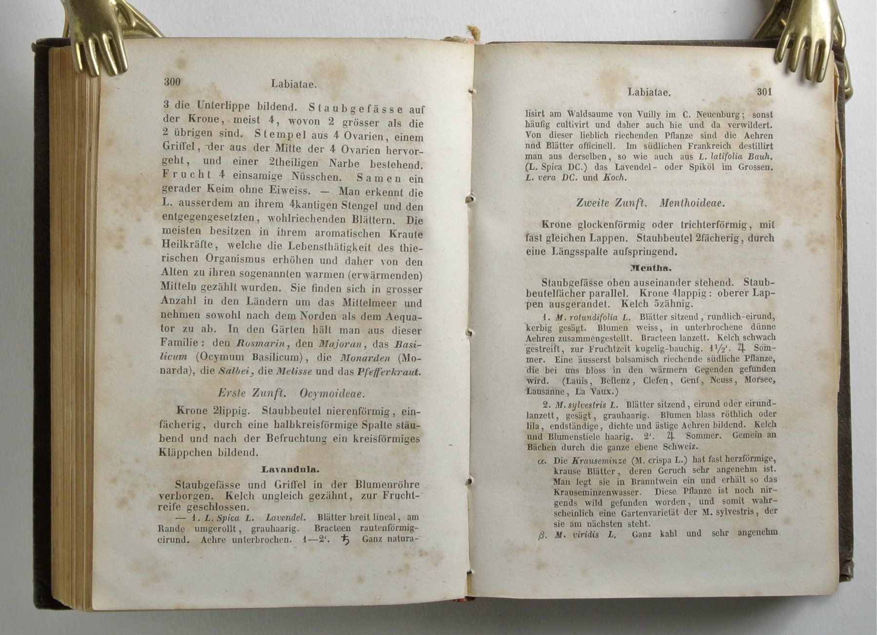 Libri: Moritzi, A. Die Flora der Schweiz, mit besonderer – Usato da Erschwil venduto da taglang 1