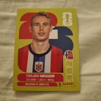 Carte Panini FIFA World Cup 2026 Torbjörn Heggem NOR 8