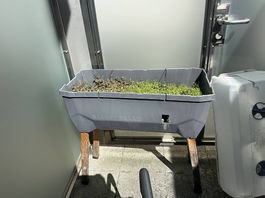 Gusta Garden Sammy Salad Hochbeet zu verschenken