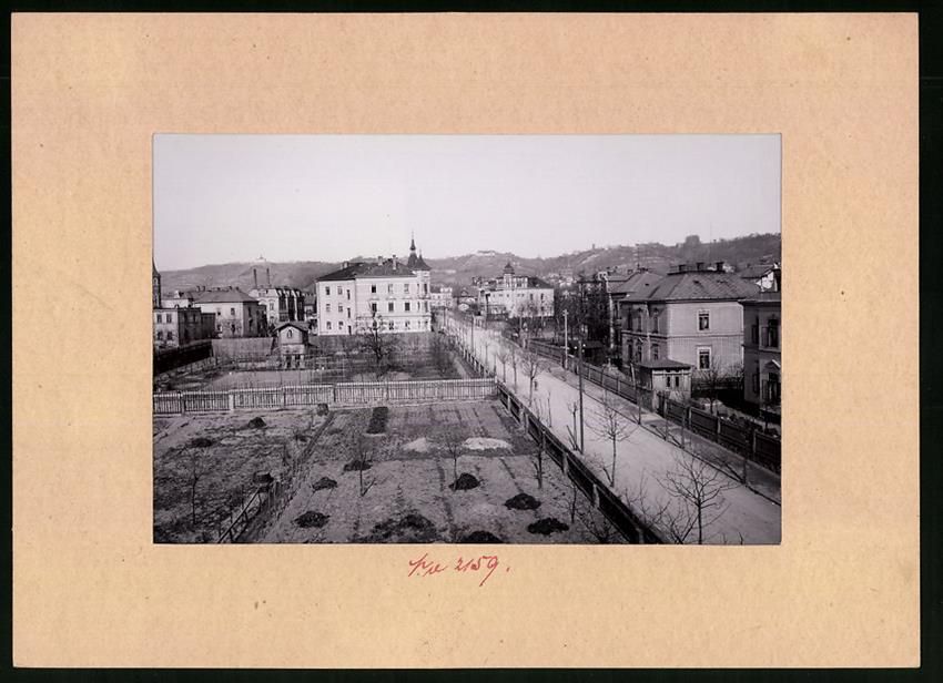 Fotografie & Manifesti: Fotografie Radebeul-Oberlössnitz, Schil – Usato da Berlin venduto da bartko-reher