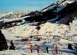 COL DES MOSSES Skifahrer