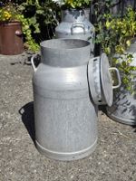 Milchkanne 40L 