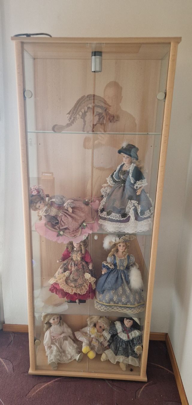 Vetrine: Glasvitrine – Usato da Liestal venduto da Santiago1900