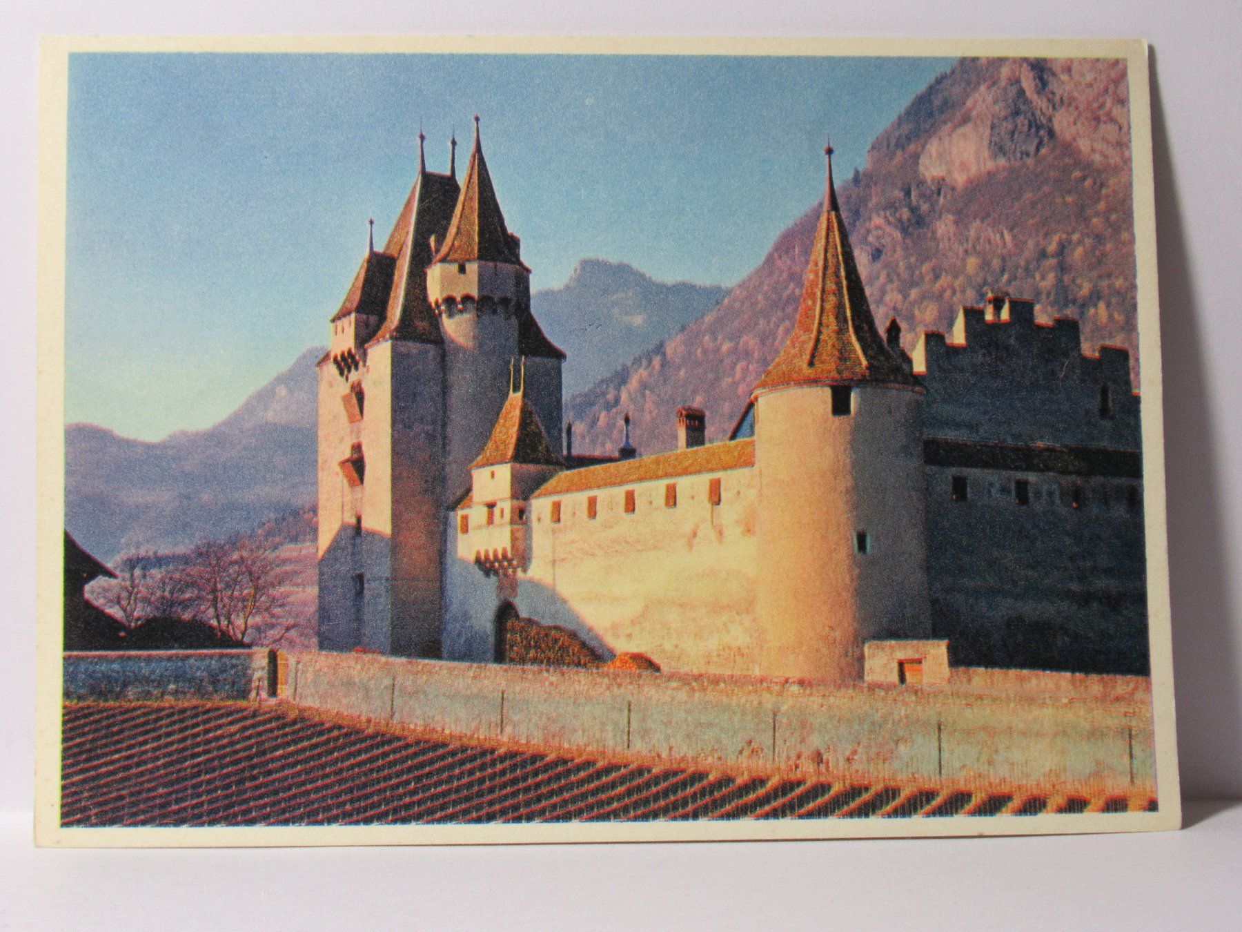 Ansichtskarten: Schloss Aigle – Neu (gemäss Beschreibung) aus Grenchen von Bluemchen1900