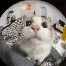 Profile image of gca_d2qp