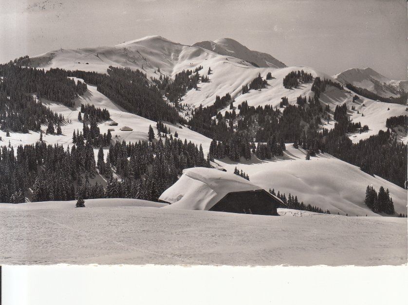 Ansichtskarten: Oberegg 1946 – Gebraucht aus Bürglen TG von StampGraf