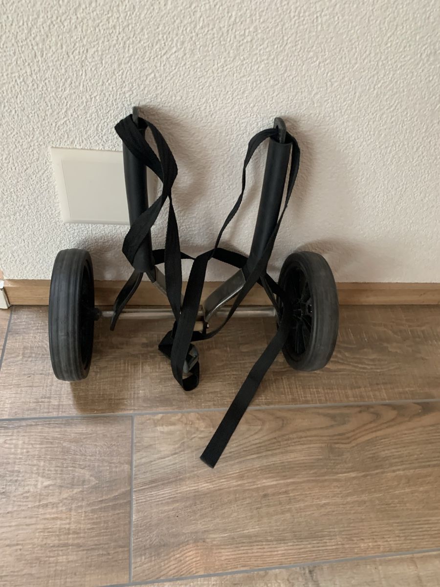 Bateaux:  Stand Up Paddel Wägeli ORKCA mit Gurt – D'occasion à heiligenschwendi par bonitasunny 1
