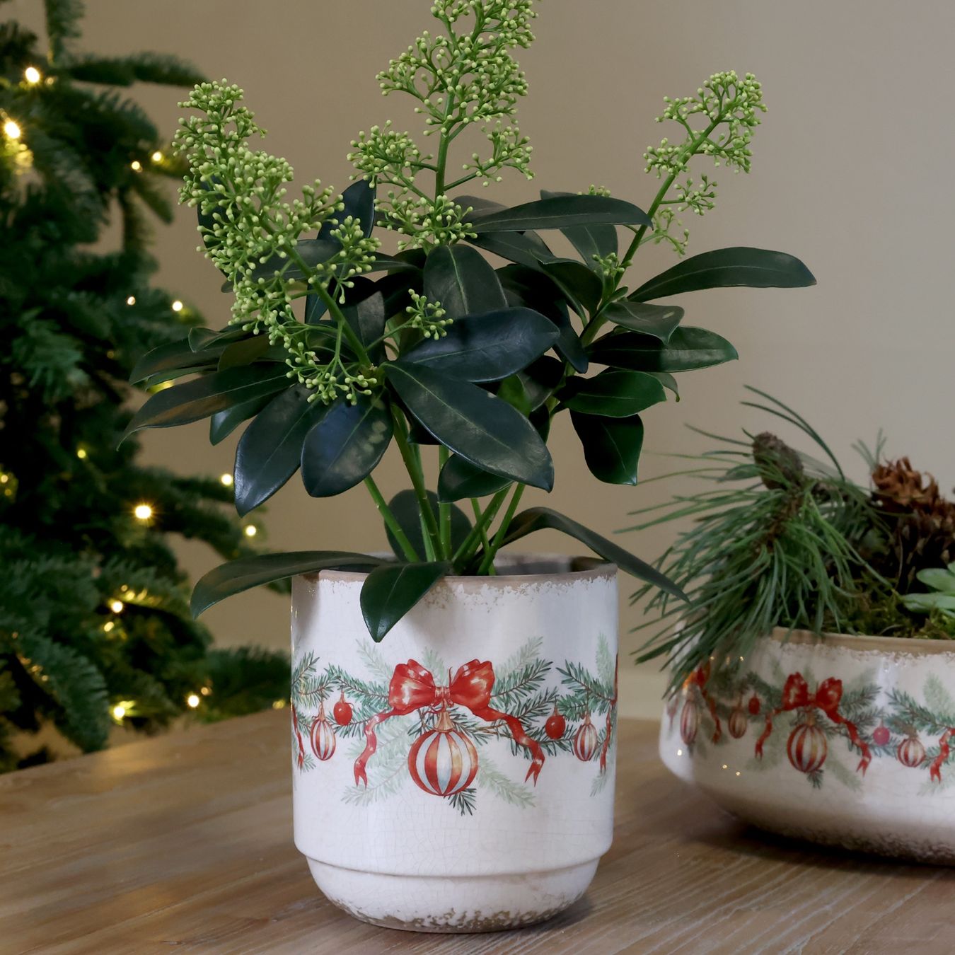 Blumentöpfe: Chic Antique Übertopf mit Weihnachtskugel und Schleife – Neu und originalverpackt aus Innertkirchen von Glatthard-Interior