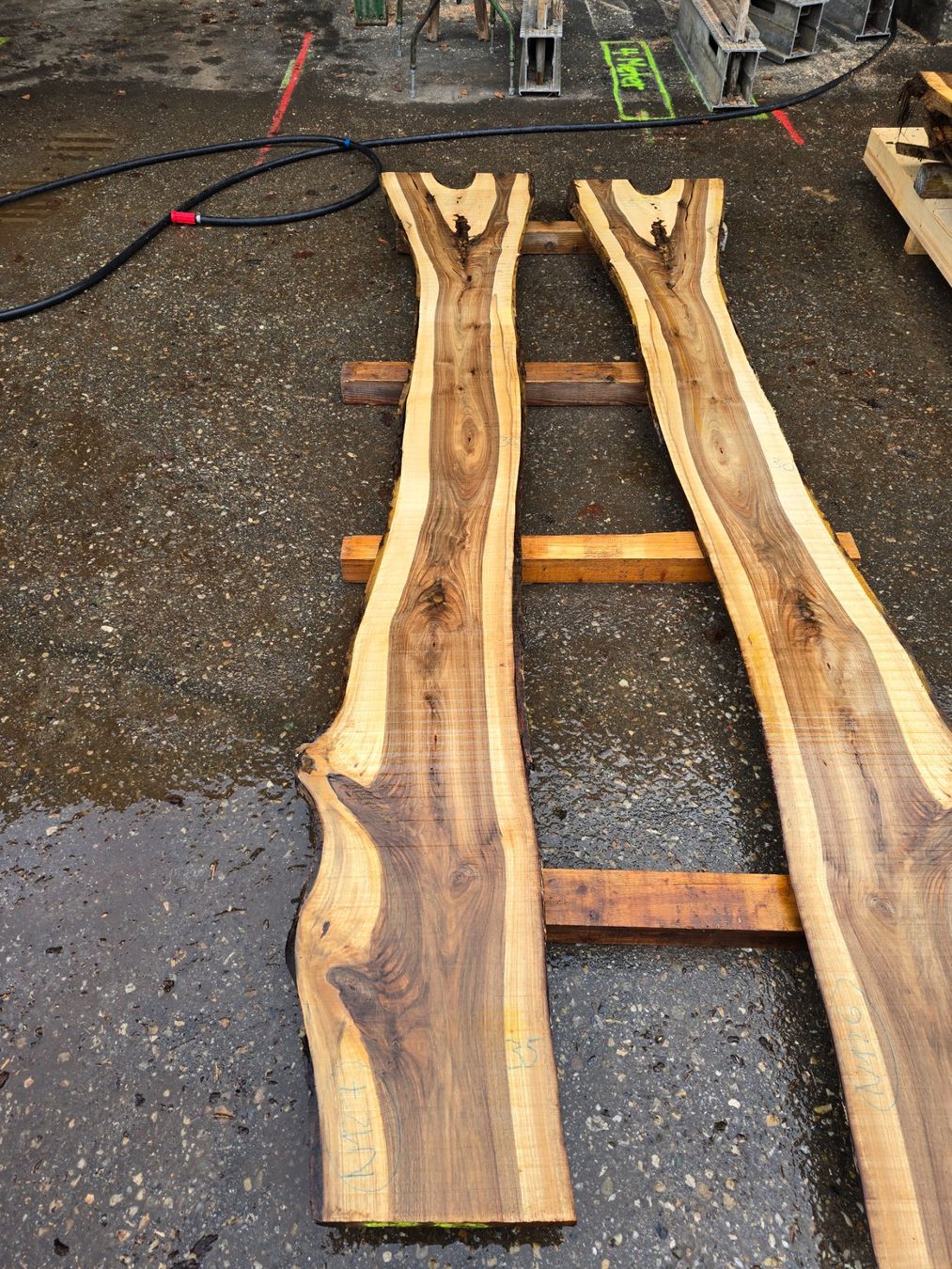 Articoli in legno: Nussbaumbrett Nr. N127 – Nuovo (secondo la descrizione) da Ramsei venduto da Waelchris