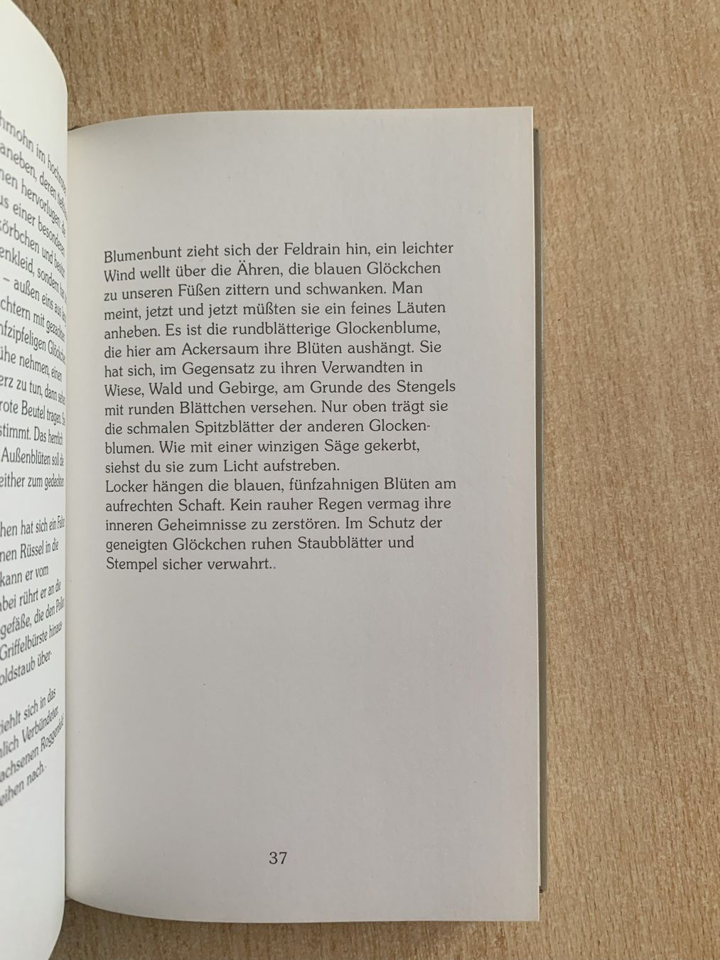 Libri: Begleit mich zu den Feldern – Usato da Reinach BL venduto da Grolifcb 4