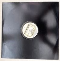 Angel's Reverse – Don't Care - Vinyl
