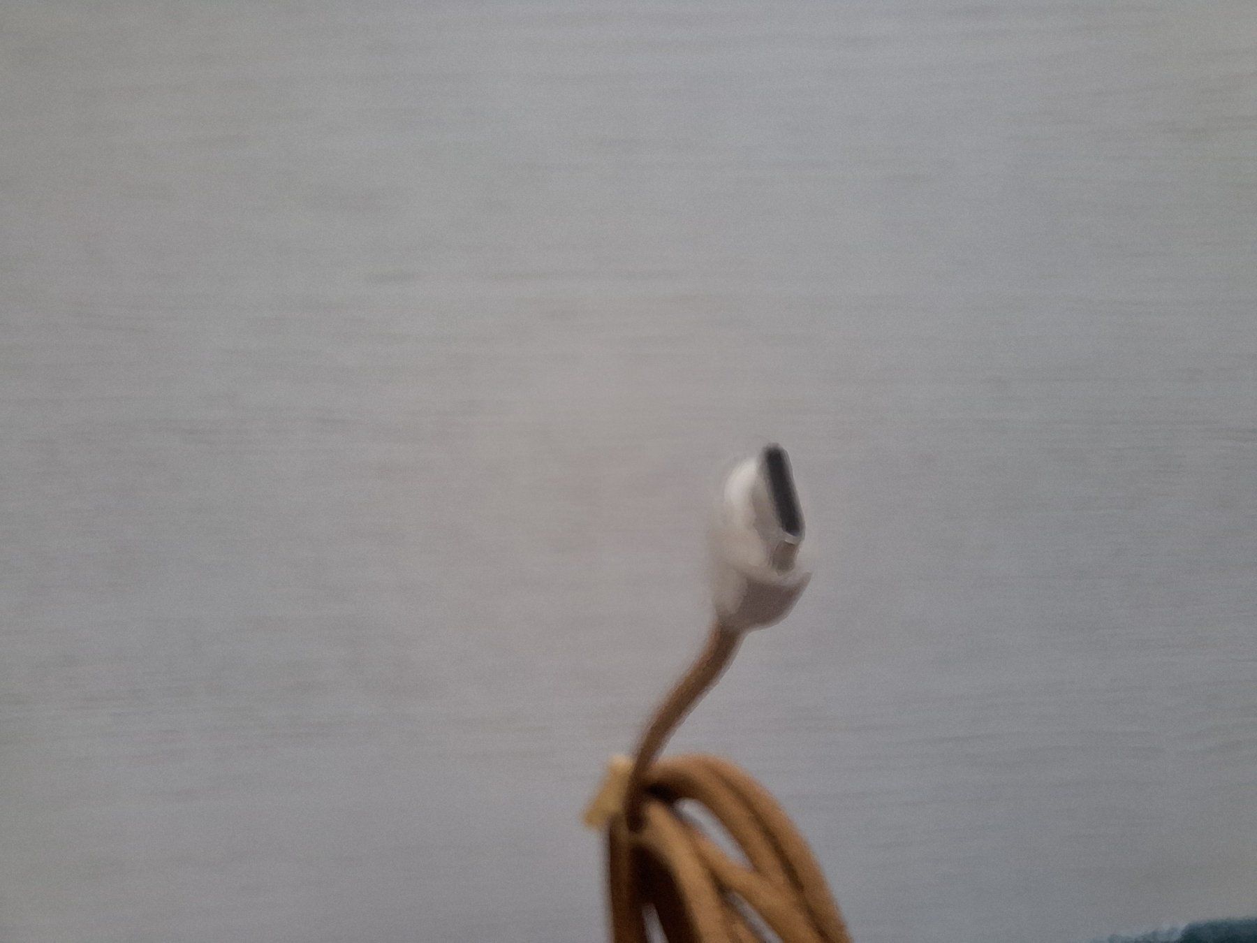 Cavi: Multiport Ladekabel unbenutzt – Nuovo (secondo la descrizione) da St. Gallen venduto da Johnnie57 2