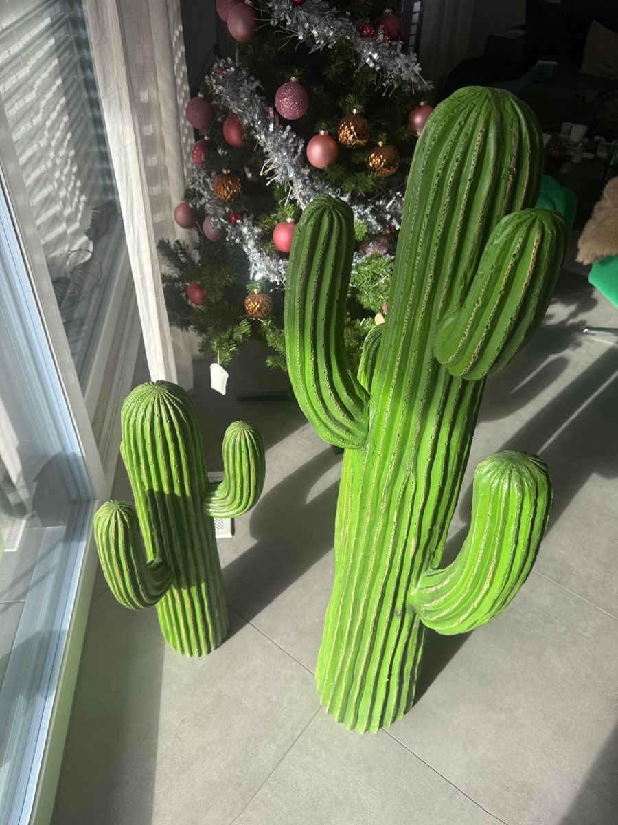 Alle Dekorationen: AM.PM Cactus  – Gebraucht aus Crissier von sas_c5h9 1