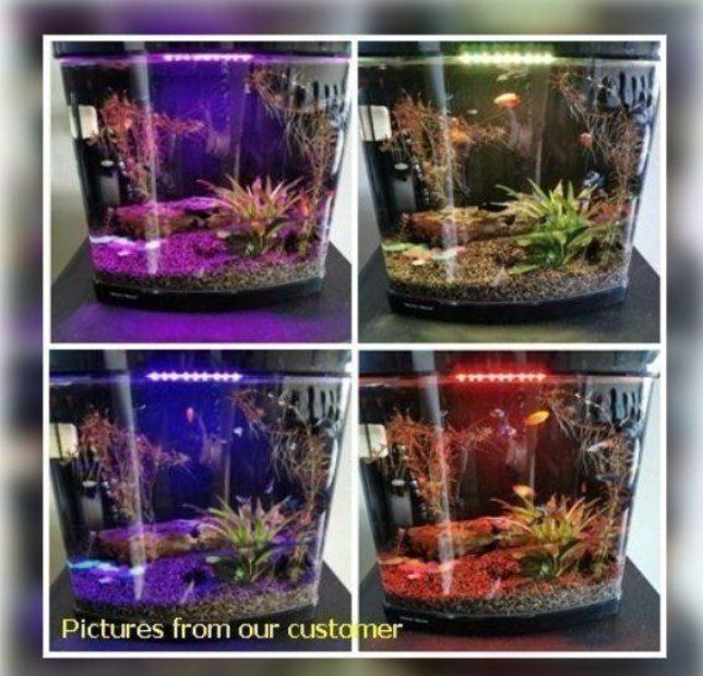Lampade: LED Aquarium Beleuchtung – Nuovo e nell'imballaggio originale da Amriswil venduto da Ravinvida 8