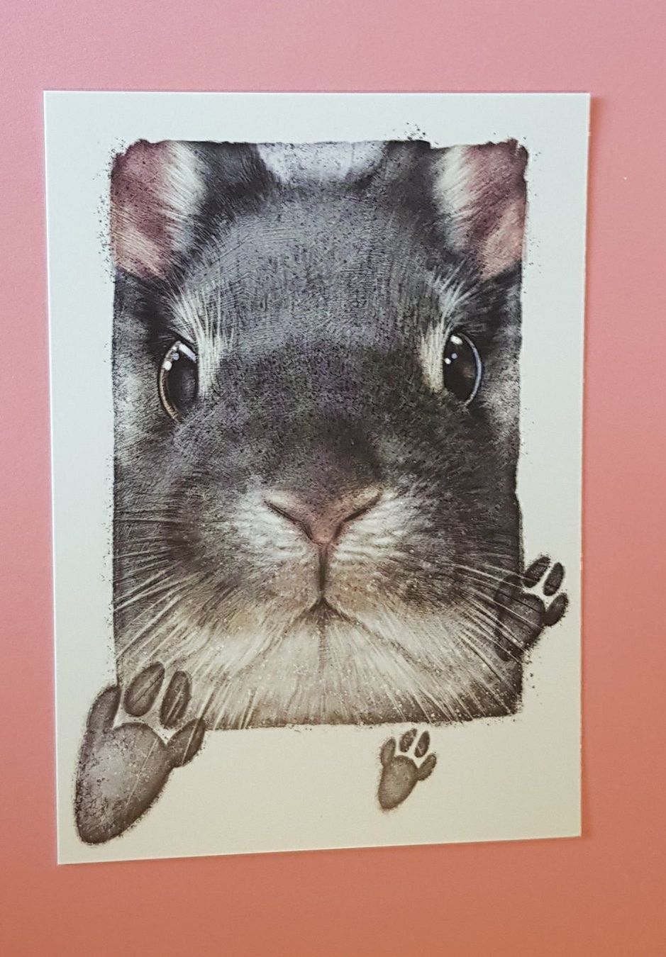Cartoline: Postkarten 4 Subjekts TIERE – Nuovo e nell'imballaggio originale da Zürich venduto da Avd 6