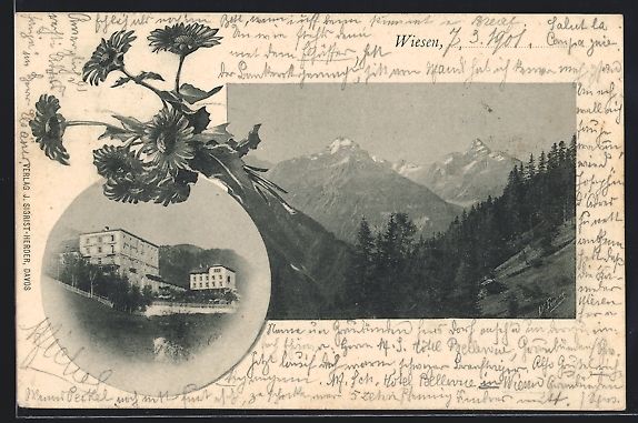 Ansichtskarten: Wiesen, Hotel Bellevue, Bergpanorama, Bl – Gebraucht aus Berlin von bartko-reher