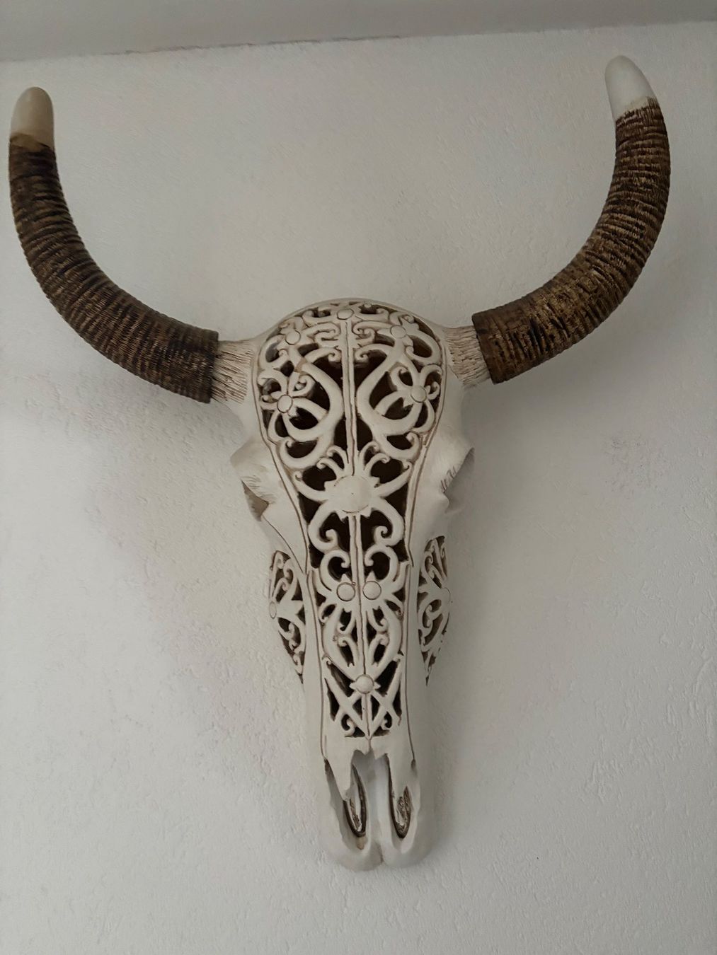 Interio Tutte le decorazioni: Deko Longhorn Schädel – Usato da Steinach venduto da Estil 2