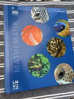 Mathematik LMVZ  4.Klasse Lösungen