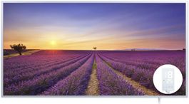 Infrarotheizung 720W 100x52 SUMMER