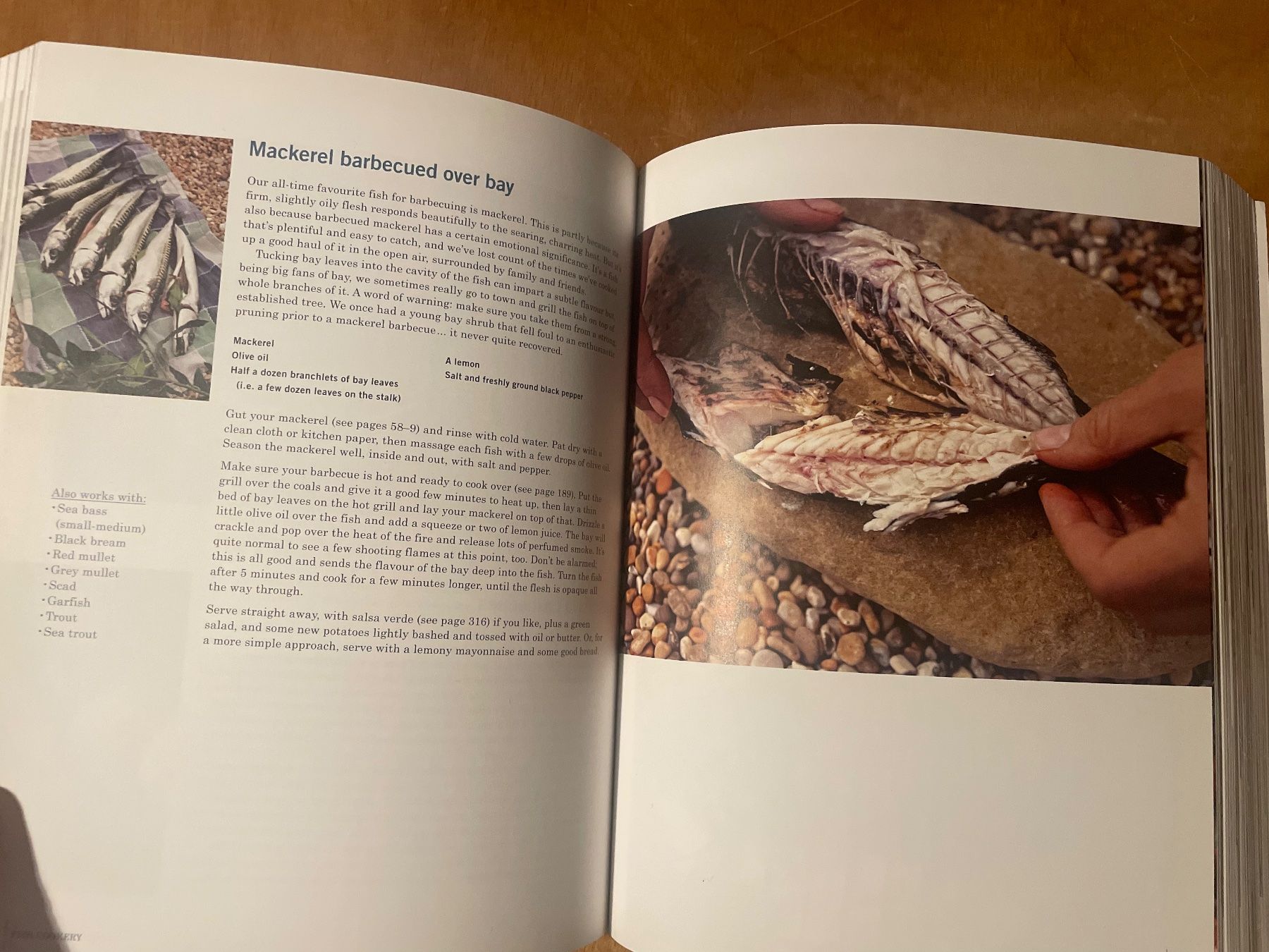Libri: The River Cottage Fish-Book – Usato da Zürich venduto da WWehrle 3