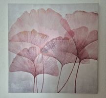 Bild Ginkgo
