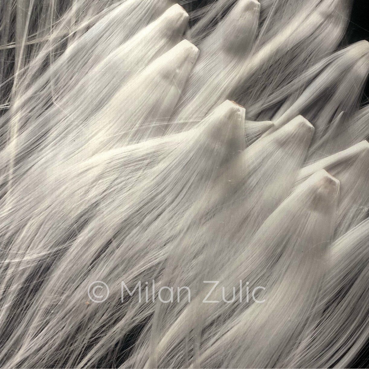 Foto & Immagini: Milan Zulic ~22 – Nuovo (secondo la descrizione) da Uetikon am See venduto da mil_7k2b 3