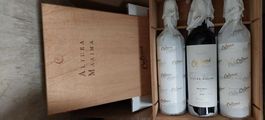 19fl Arg/Chile-Mix>> Altura Máxima, Cheval Andes, Montes M++